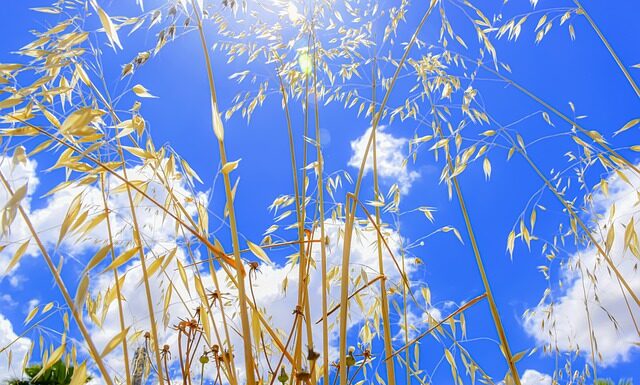 Kto może przeglądać Block Chain?