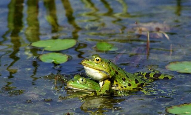 Jak stworzyć idealny zespół? Jak stworzyć idealny zespół?