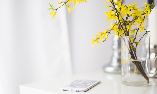 Jak się nazywał kiedyś Plus? Jak się nazywał kiedyś Plus?