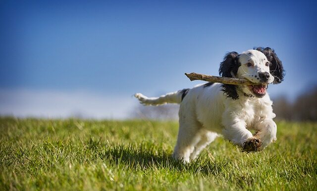 Jak odzyskać siły psychiczne? Jak odzyskać siły psychiczne?
