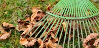 Jak obliczyć kwotę prowizji?