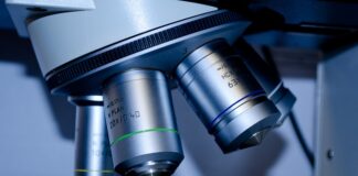 Czy biotechnologia to dobry zawód?