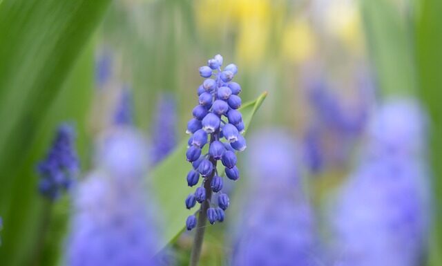 Co wyróżnia markę?