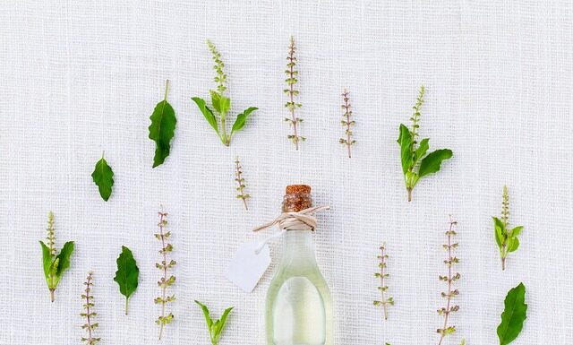 Jakie zioła pić wieczorem? Jakie zioła pić wieczorem?