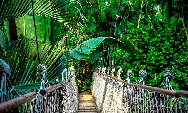 Ile trwa kurs testera oprogramowania? Ile trwa kurs testera oprogramowania?