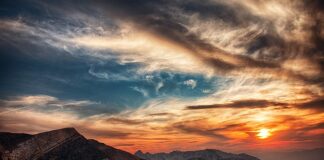 Ile kosztuje godzina si?