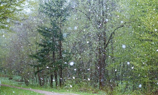 Dlaczego czuje się słabo? Dlaczego czuje się słabo?
