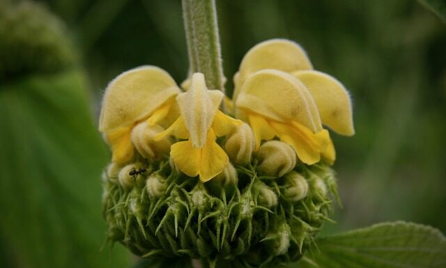 Co to brand identity? Co to brand identity?