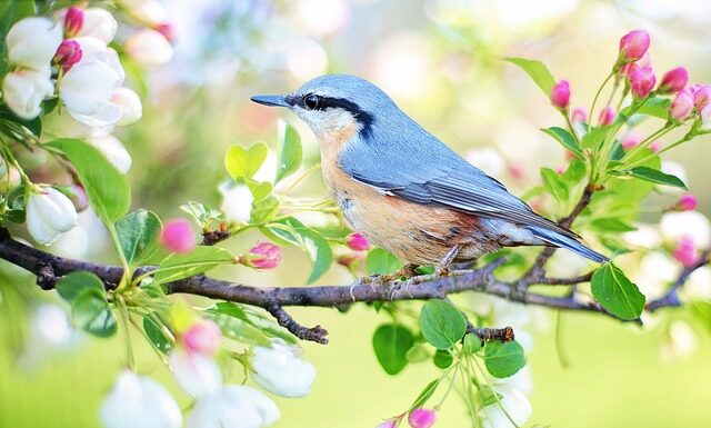 Jaki mały biznes się opłaca? Jaki mały biznes się opłaca?