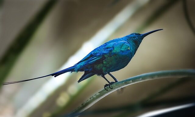 Czego nie może być na fakturze? Czego nie może być na fakturze?