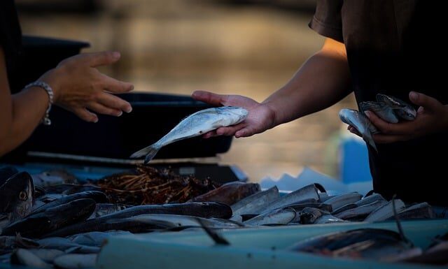 Czy można sprzedawać na blogu? Czy można sprzedawać na blogu?